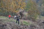 Spravilo dodatno oteuje biomasa, ki jo sestavlja zlata rozga in robidovje (foto: S. Denik)