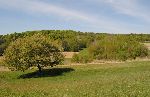 Bejin breg (foto: M.Podletnik)