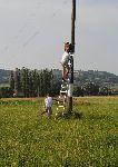 Nekatere gnezdilnice, predvsem za zlatovranko so nameščene na električne drogove (foto: M.Podletnik)