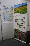Podobe projekta Goriki travniki (foto: M. Podletnik)