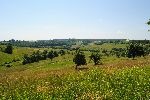Mozaina krajina s travniki, njivami in mejicami (foto: M.Podletnik)
