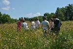 Students of Primary School G.Petrovci are exploring meadows