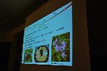 Lecturers showed some ecosystem services of meadows (photo by: G. Domanjko)