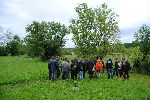 Voden ogled izvedbe varstvenih ukrepov na terenu v Motovilcih Mojca Podletnik